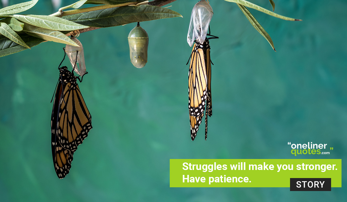 Struggles will make you stronger - Have patience in life